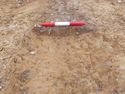 Thumbnail of E. facing section of Gully [1031] Area B