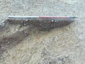 Thumbnail of E. facing section of Gully [1039] + Pit [1041] Area B