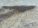 Thumbnail of E. facing section of Gully [1039] + Pit [1041] Area B