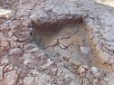 Thumbnail of E. facing section of Pit [1078] Area B