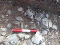 Thumbnail of Close-up of pottery and quern stone Area B