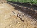 Thumbnail of Ditch Terminus (S end) [1123] section 67. W. facing. Area B