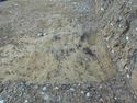 Thumbnail of Ditch [1128] opposing section to #71, Representative only, not drawn and Mid-excavation. Area B