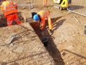 Thumbnail of (1132) Compact growth and clay fill Area B