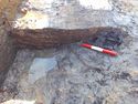 Thumbnail of Detail shot of Timber 1255 within Well Area B