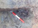 Thumbnail of Detail shot of Timber 1255 within Well Area B