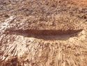Thumbnail of E. facing section Pit cut [1248] Area B
