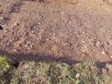 Thumbnail of Broken CBM Layer. Demolition Layer (1302) Area B
