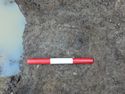 Thumbnail of CU Alloy ring in fill (1343) in Pit cut [1228] Area B