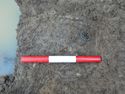 Thumbnail of CU Alloy ring in fill (1343) in Pit cut [1228] Area B