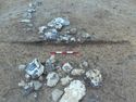 Thumbnail of E. facing section SW. through N. mosly Flint cluster (1336) Area B