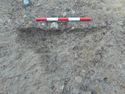 Thumbnail of E. facing section of Pit [1444] and (1446) Area B