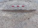 Thumbnail of E. facing section of Pit cut Area B