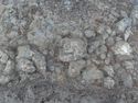 Thumbnail of Detail shot of stone structure [1710] from above Area B