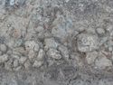 Thumbnail of Detail shot of stone structure [1710] from above Area B