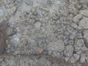 Thumbnail of Detailed shot of stone/CBM deposit (1709) and stone [1710] from above Area B