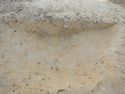 Thumbnail of E. facing section of Pit [1745] Area B