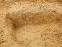 Thumbnail of E. facing section of Pit [1774] Area B