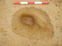 Thumbnail of 100% excavated Pit [1711] Area B