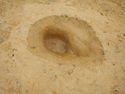Thumbnail of 100% excavated Pit [1711] Area B