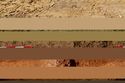 Thumbnail of E facing section of Tree Throw [130] Area C