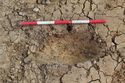 Thumbnail of 100% Plan of Posthole [136] Area C