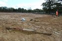 Thumbnail of Location shot of Tree Throw [282] Area C