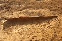 Thumbnail of E facing section of Tree Throw [A199] Area A
