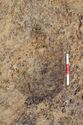 Thumbnail of 100% Plan shot of Posthole [A377] Area A
