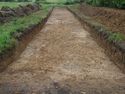 Thumbnail of E-facing general shot of trench C12