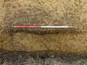Thumbnail of E-facing post-excavation photo of [C1004] plan