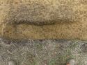 Thumbnail of E-facing post-excavation photo of [C1004] plan