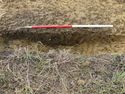 Thumbnail of E-facing post-excavation photo of [C1004] plan