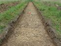 Thumbnail of E-facing pre-excavation trench shot of trench C06
