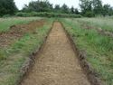 Thumbnail of E-facing pre-excavation overview shot of trench C06