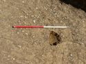 Thumbnail of E-facing plan shot of post-excavation non-feature/ drain