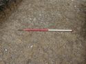 Thumbnail of E-facing pre-excavation shot of linear [] trench 8