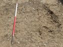 Thumbnail of E-facing overview shot of trench tree bole [A0810]