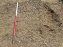Thumbnail of E-facing overview shot of trench tree bole [A0810]