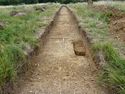 Thumbnail of E-facing post-excavation shot of trench A05