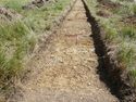 Thumbnail of E-facing post-excavation shot of trench A06