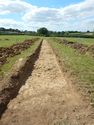 Thumbnail of NW-facing trench shot of SSE02