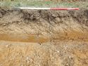Thumbnail of SW-facing representative section of SSE06