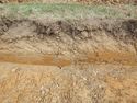 Thumbnail of SW-facing representative section of SSE06