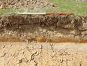 Thumbnail of NE-facing representative section of SSE07