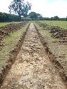 Thumbnail of NE-facing trench shot of SSE10