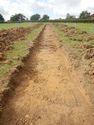 Thumbnail of NW-facing trench shot of SSD02