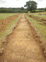 Thumbnail of NE-facing trench shot of SSD01