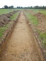 Thumbnail of SW-facing trench shot of SSD04