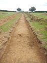 Thumbnail of SE-facing trench shot of SSD03